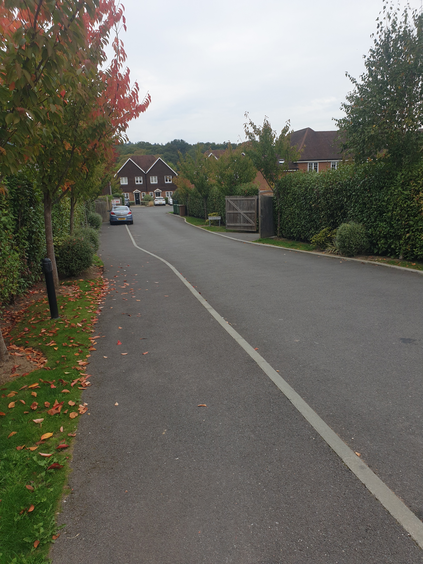 Alder Grove, Chilworth